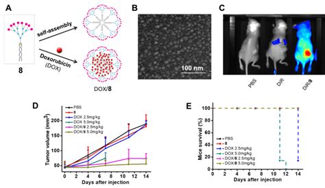 Self Assembling Supramolecular Dendrimer For Drug Encapsulation And Download Scientific Diagram