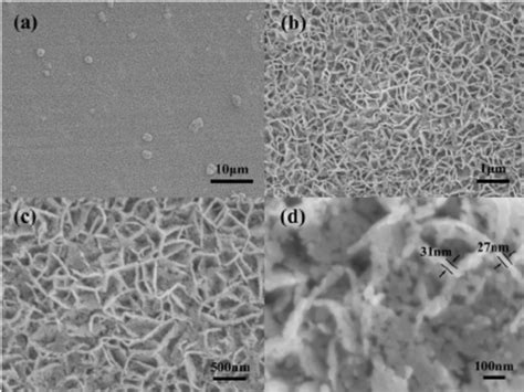 Sem Images Of The Porous Czts Thin Film At Different Magnifications