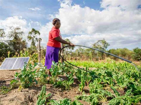 10 Greenhouses With Solar Built For Women Farmers