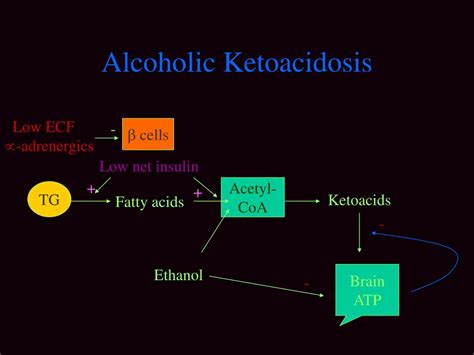 Ppt Metabolic Acidosis Powerpoint Presentation Free Download Id6666958