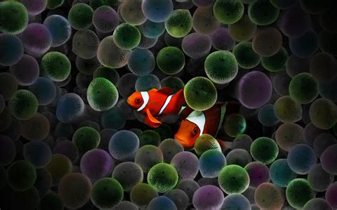 Circus Clown Fish By Rebstile On Deviantart