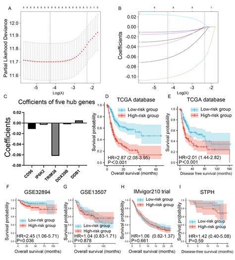 Construction And Validation Of A Novel Eight Gene Risk Signature To