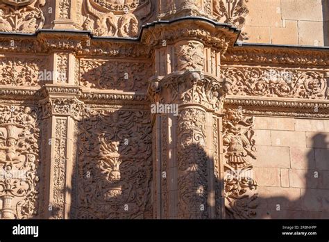 Details Of Old University Of Salamanca Plateresque Facade With Frog And