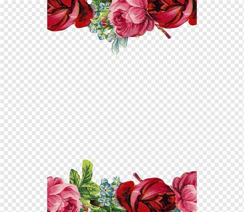 Rosas Vermelhas Borda De Flores Rosa Vermelha Retro Flores Borda