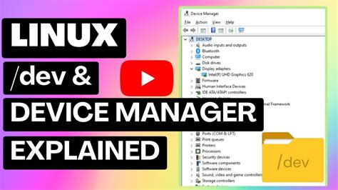 Demystifying The Dev Directory In Linux Youtube