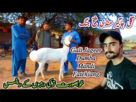 Gali Jageer Dumba Mandi Fatehjang Latest Update November Top