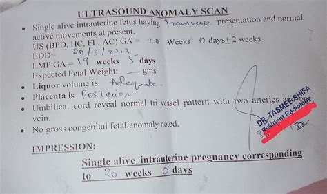 Anaomly Scan Report Help Babycenter