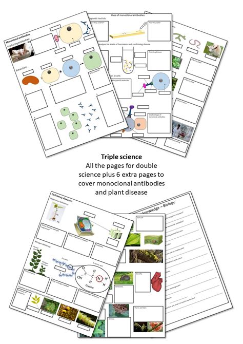 AQA GCSE Biology 9 1 Infection And Response Illustrated Revision