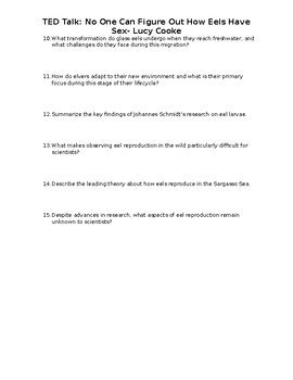 TED Talk No One Can Figure Out How Eels Have Sex Lucy Cooke TPT