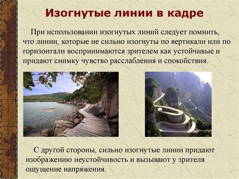 Основы композиции в фотографии - презентация онлайн