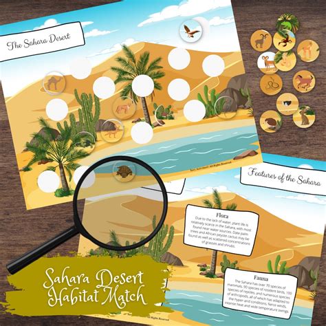 Sahara Desert Habitat Biome Matching Full Color Information Poster Etsy