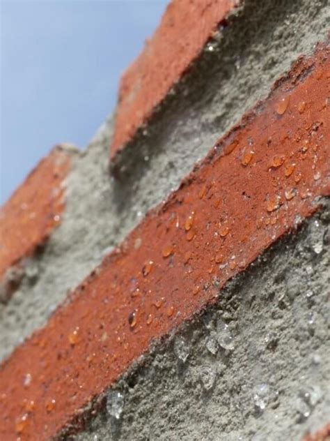 Wall Coating – Cosy Home 