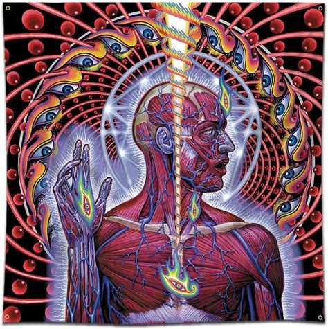 alex grey art vision psychedelics spiritual transformation