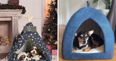 No More Ruff Nights With The 5 Best Dog Tent Beds!