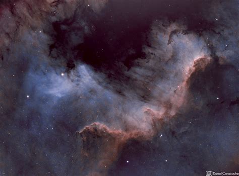 Cygnus Nebula