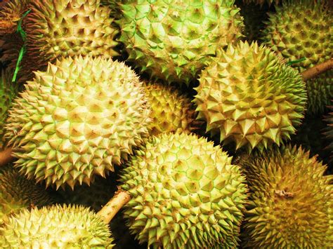 The Global Gamine: Durian Tasting