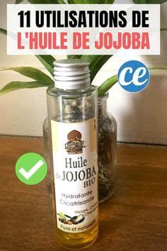 11 Utilisations De L Huile De Jojoba Que Tout Le Monde Devrait