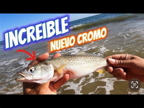 Spinning Desde Playa Al Atardecer Pescamos Una Especie Invasora