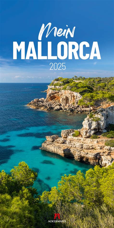 Navigating The Skies To Mallorca In A Comprehensive Guide