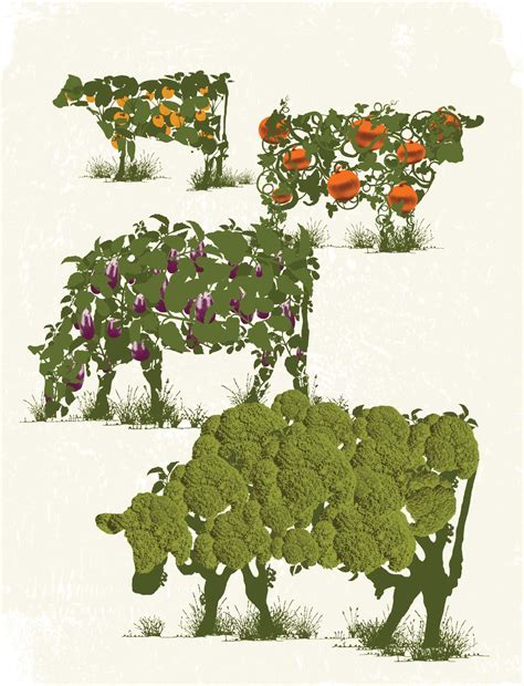 why haven greens might be the secret to better energy 3