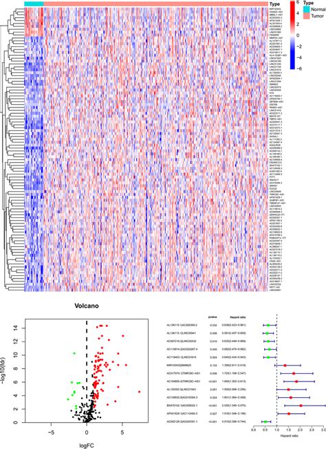 Establishment Of The Risk Assessment Model Based On DEsrlncRNA Pairs