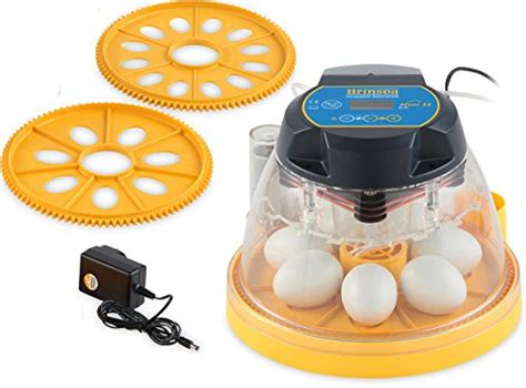 small incubator courtsubtitle