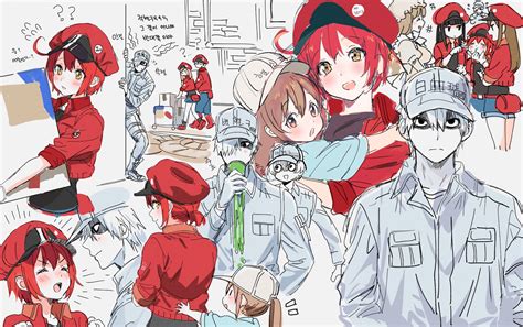 Platelet White Blood Cell Red Blood Cell Ae U And More