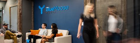 Blue Moose Media Social Media And Digital Marketing Training