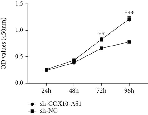 Knockdown Of Cox10 As1 Promoted Glioma Cell Pyroptosis A Relative