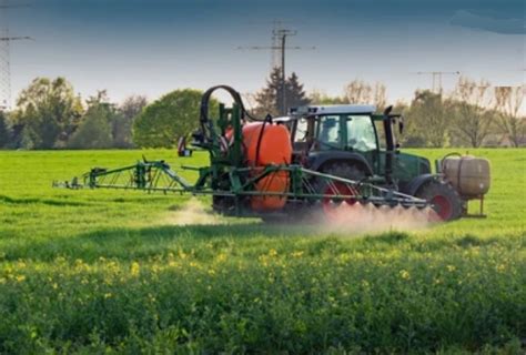 Retour temporaire des pesticides néonicotinoïdes tout savoir en 5 points