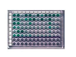 Dexamethasone Elisa Diagnostic Kit At Rs Kit Elisa Kits In Pune