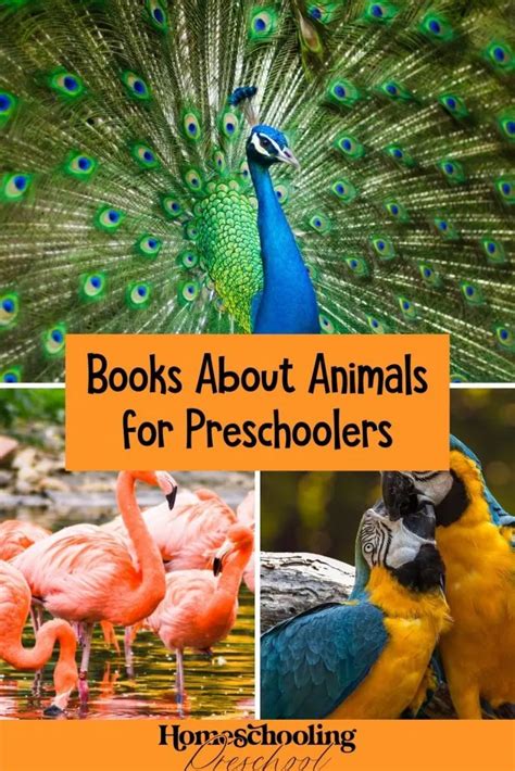 Books About Animals for Preschoolers - Homeschooling Preschool