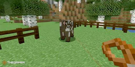 How To Make Rope In Minecraft For Horses