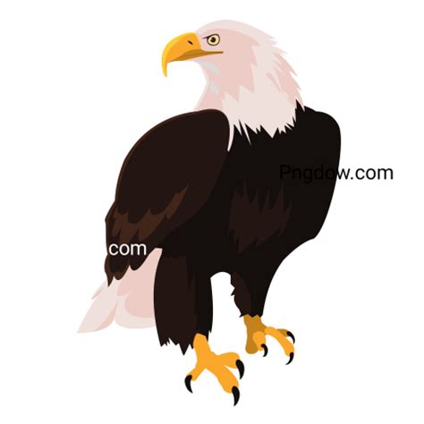 Eagle Png image with transparent background for free, Eagle, (26 ...