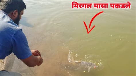 मिरगल मासा पकडलेamazing Fishing Videoफिडरवर मासा पकडणेकार्प मासे