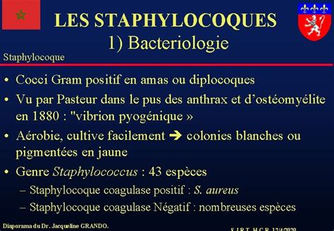 Staphylocoque Cours De Bactriologie Facult De Mdecine De