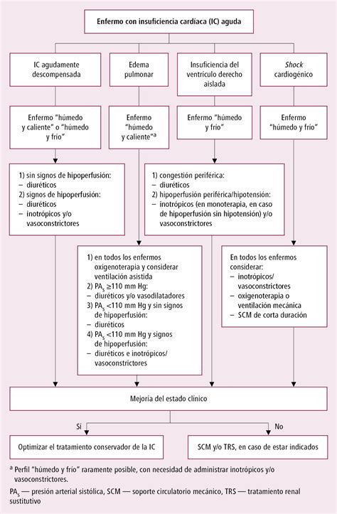 Insuficiencia Card Aca Aguda Insuficiencia Card Aca Enfermedades