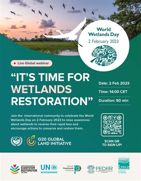 Its Time For Wetlands Restoration