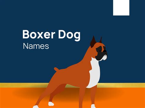 323+ Unique Boxer Dog Names to Consider (+Generator)