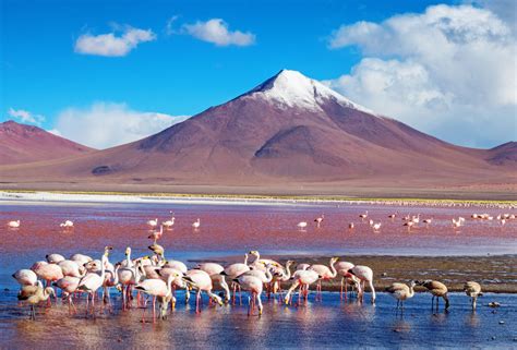 Five Natural Wonders Of Bolivia