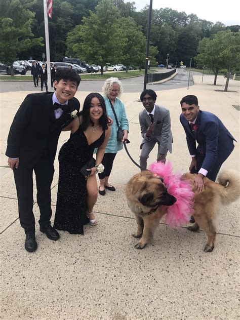 LEXINGTON HS on Twitter: "LHS Senior Prom at Gillette tonight! Flynn