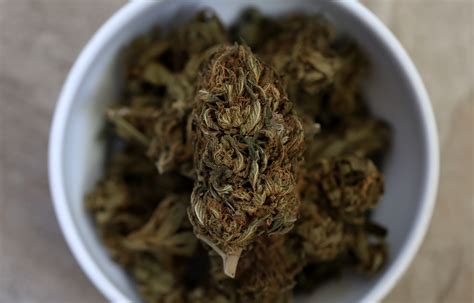 DEA Cedes Ground in the Losing War on Weed. It's Not Enough | Opinion