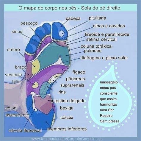 Reflexologia Podal 👣 On Instagram “boa Noite 👣💚 🍃 Conheça Mais