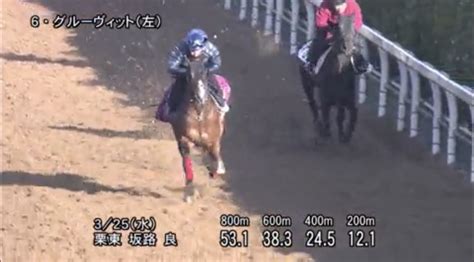 【高松宮記念】調教で目立つ動きをした穴馬1頭はコレ！ 勝ち組在籍方法！