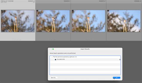 Importing Canon Raw Burst Mode Files Into Lightroom Classic Lightroom