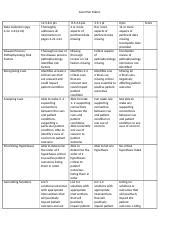 Care Plan Rubric Data Collection Disease Process And Taking Course