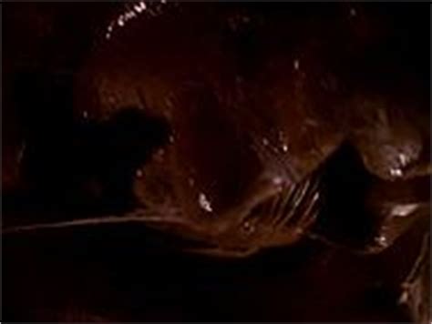 Taaffe O Connell Nude Pics Videos Sex Tape