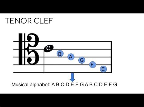 How To Read Every Note In ALTO And TENOR Clef YouTube