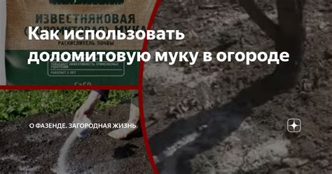 Как использовать доломитовую муку в огороде | О Фазенде. Загородная ...