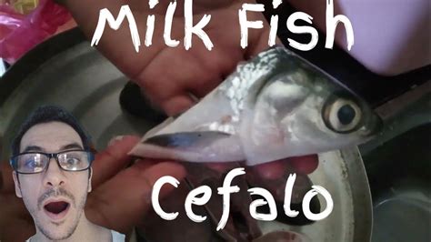 Dimple prepare Milk Fish Recipe Chanos Chanos Bangus - Cefalo o ...